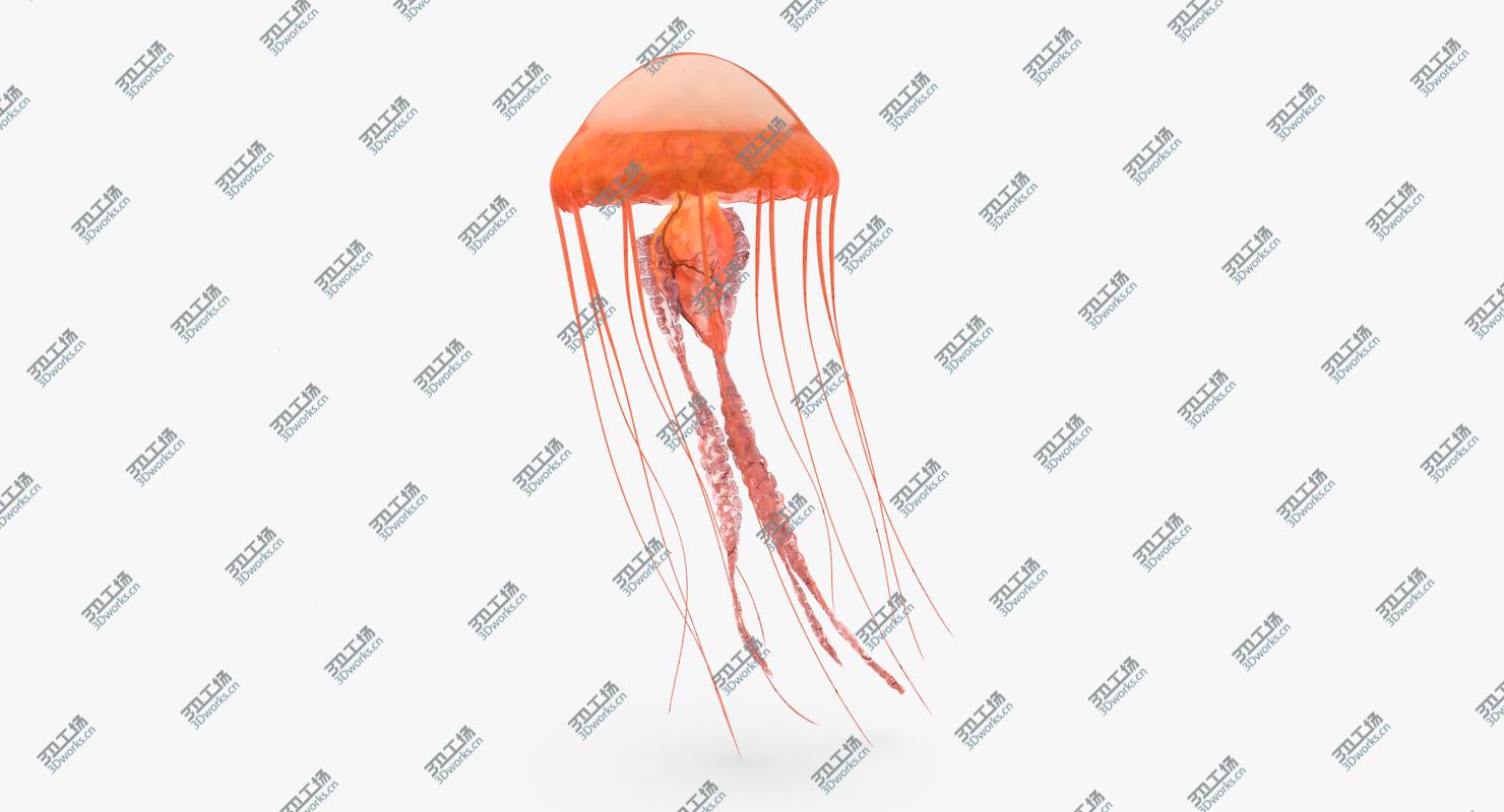 images/goods_img/2021040234/Jellyfish 01/4.jpg